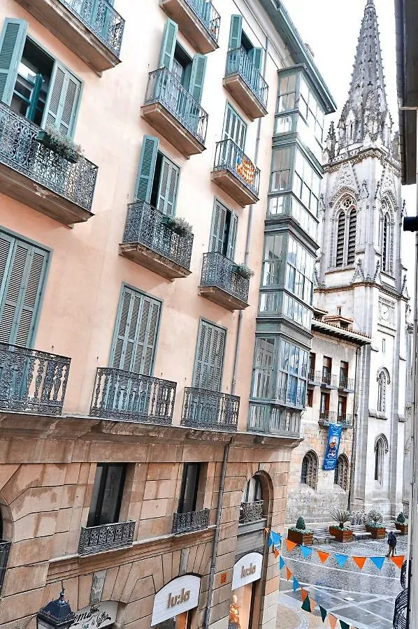 Homestay Mirador Catedral De Santiago Apartment Bilbao